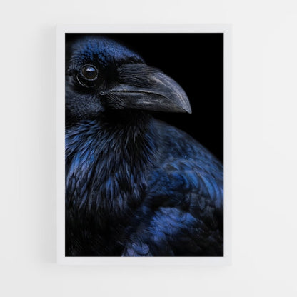 ap-raven-15 cadre Blanc