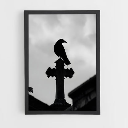 ap-raven-9 cadre Noir