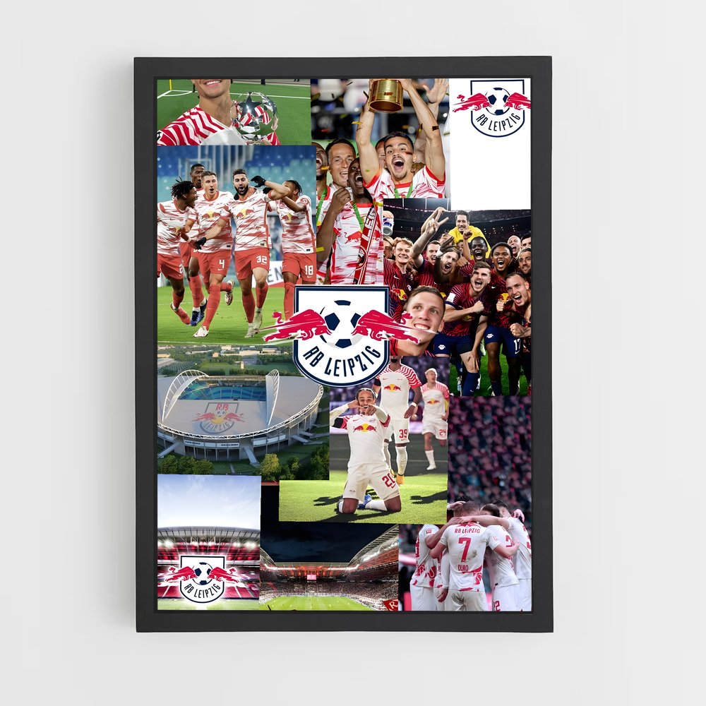 ap-rb leipzig-3 cadre Noir