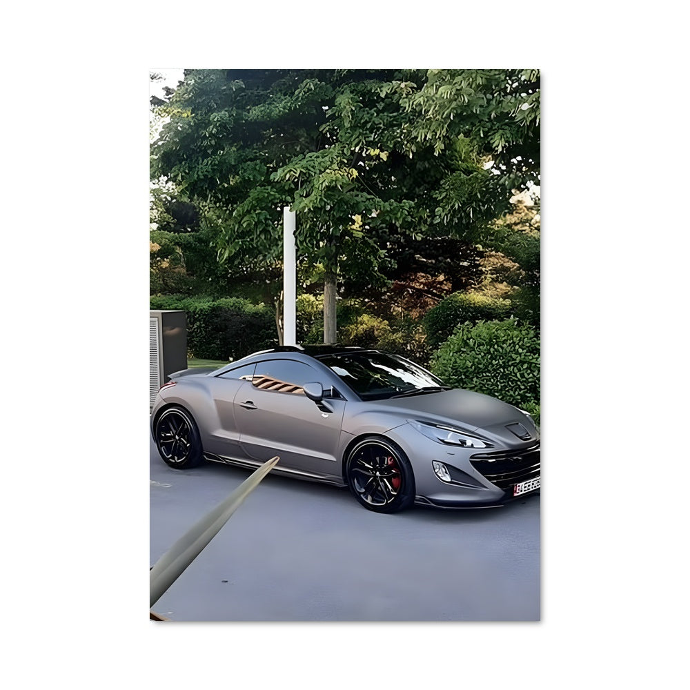 Poster Rcz 79157