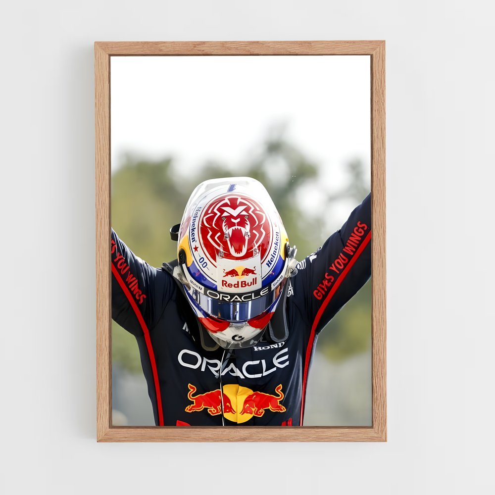 ap-red bull racing-6 cadre Bois clair