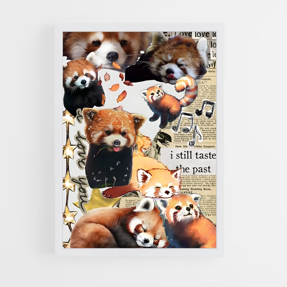 ap-red panda-4 cadre Blanc