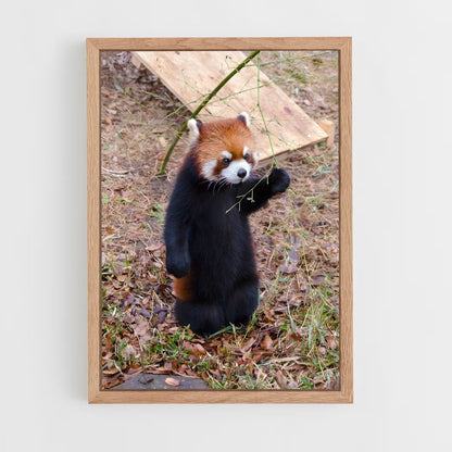 ap-red panda-5 cadre Bois clair