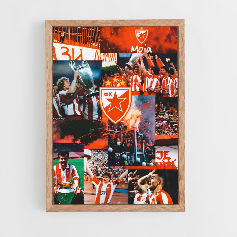 ap-red star belgrade basketball-1 cadre Bois clair