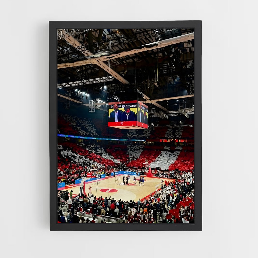 ap-red star belgrade basketball-4 cadre Noir