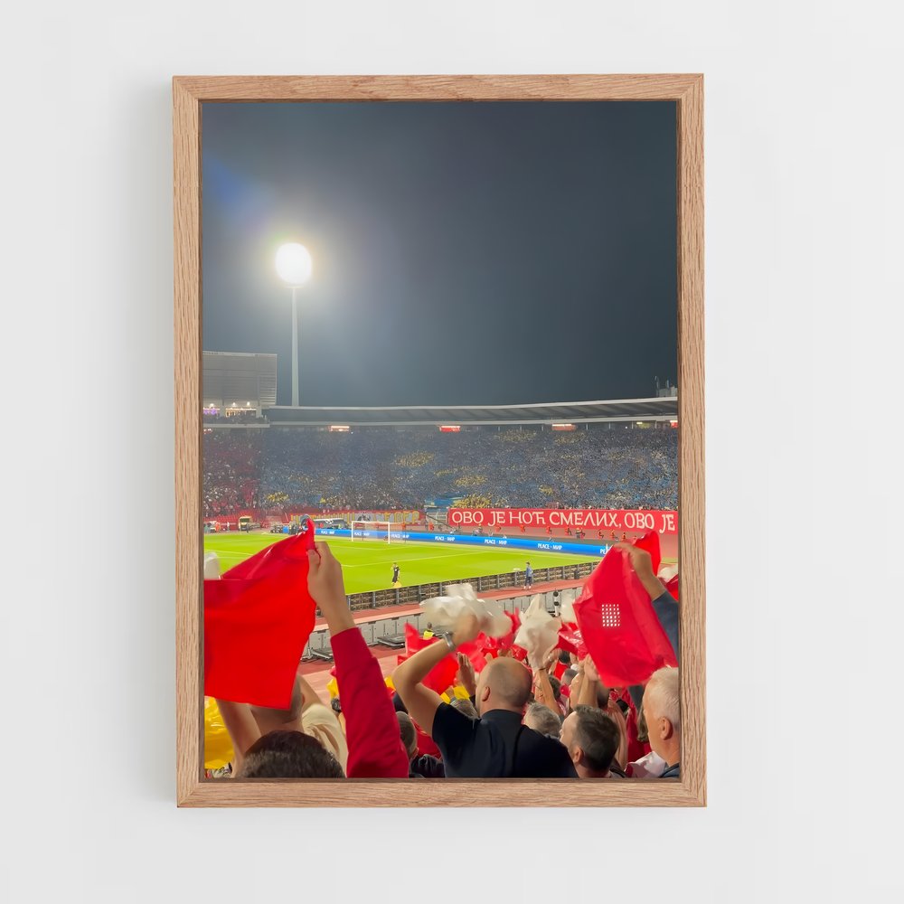 ap-red star belgrade basketball-7 cadre Bois clair