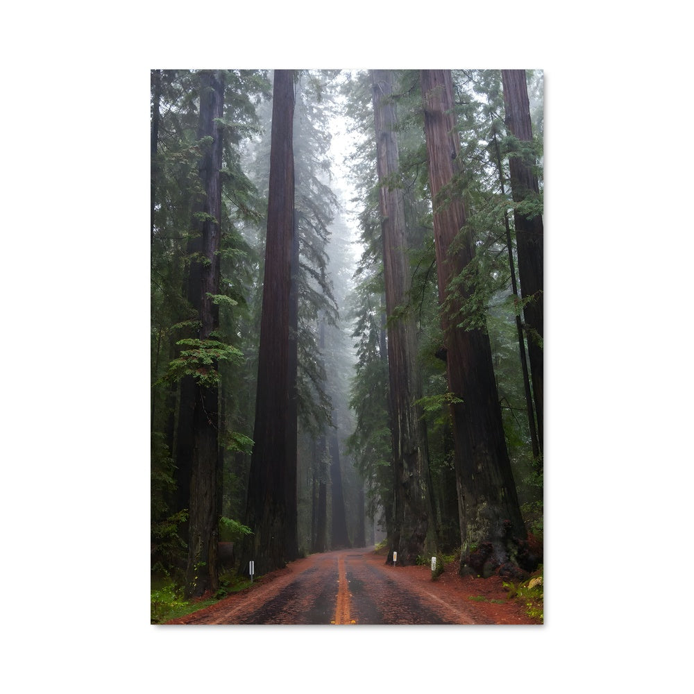 Poster Route des Séquoias