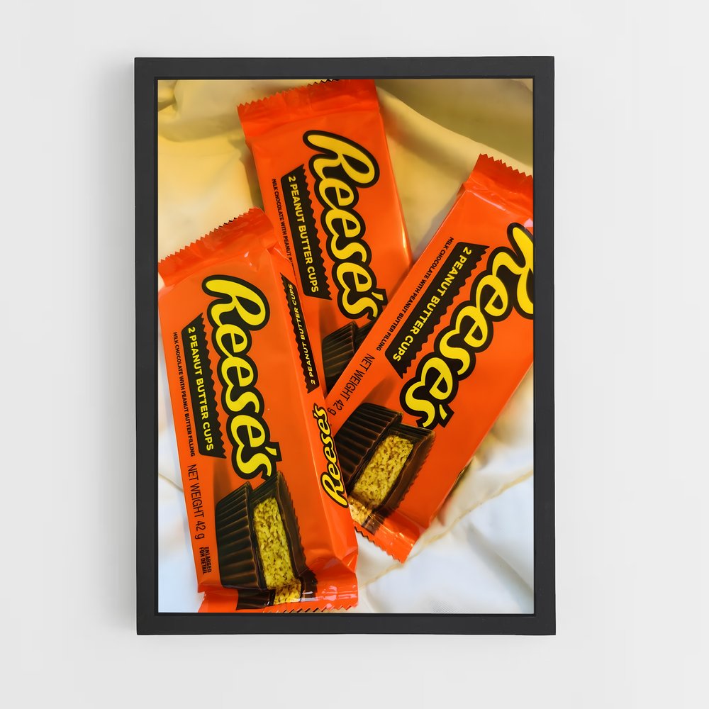 ap-reeses-3 cadre Noir