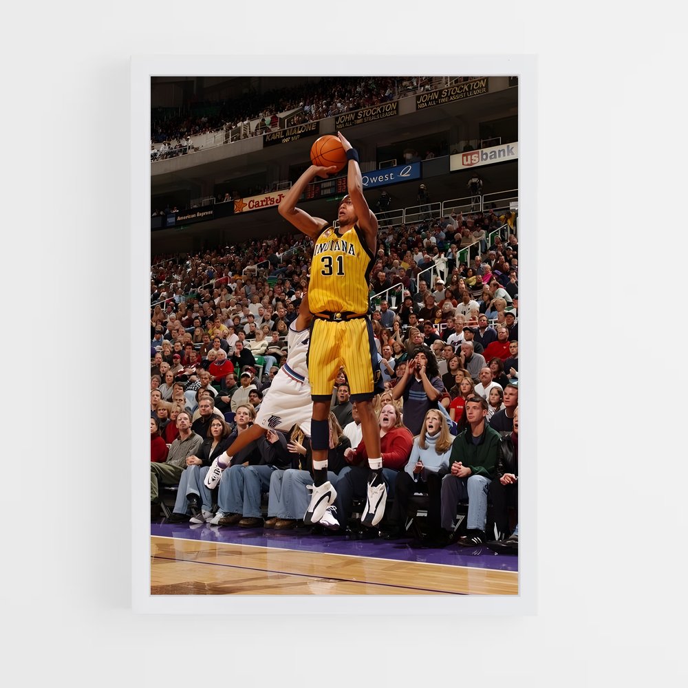 ap-reggie miller-3 cadre Blanc