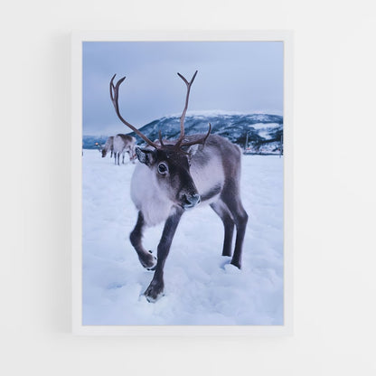 ap-reindeer-1 cadre Blanc