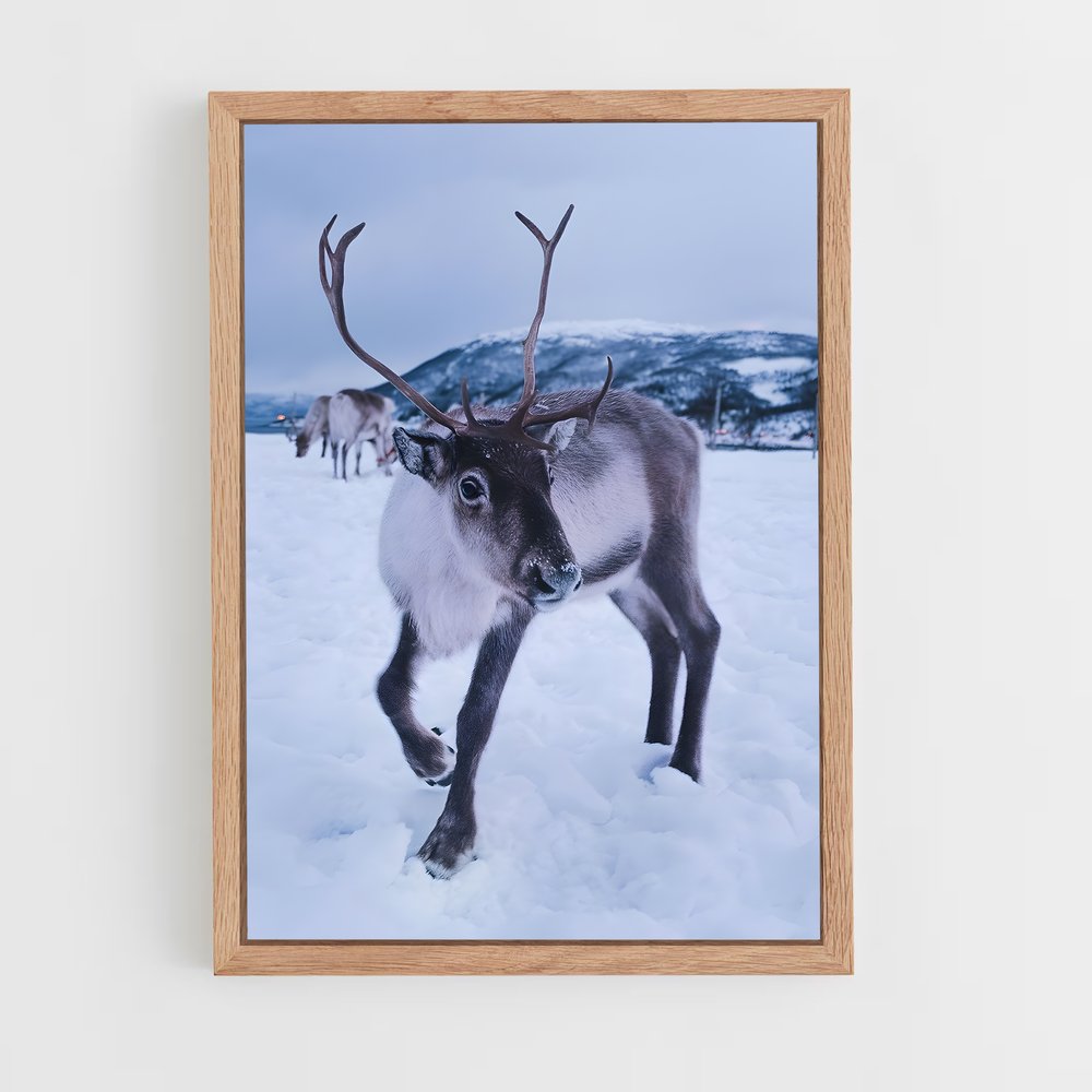 ap-reindeer-1 cadre Bois clair