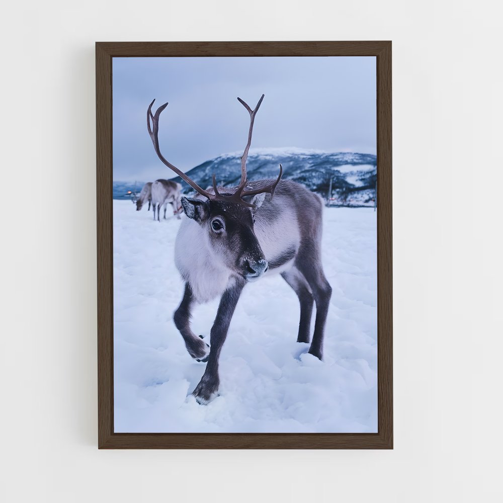 ap-reindeer-1 cadre Bois foncé