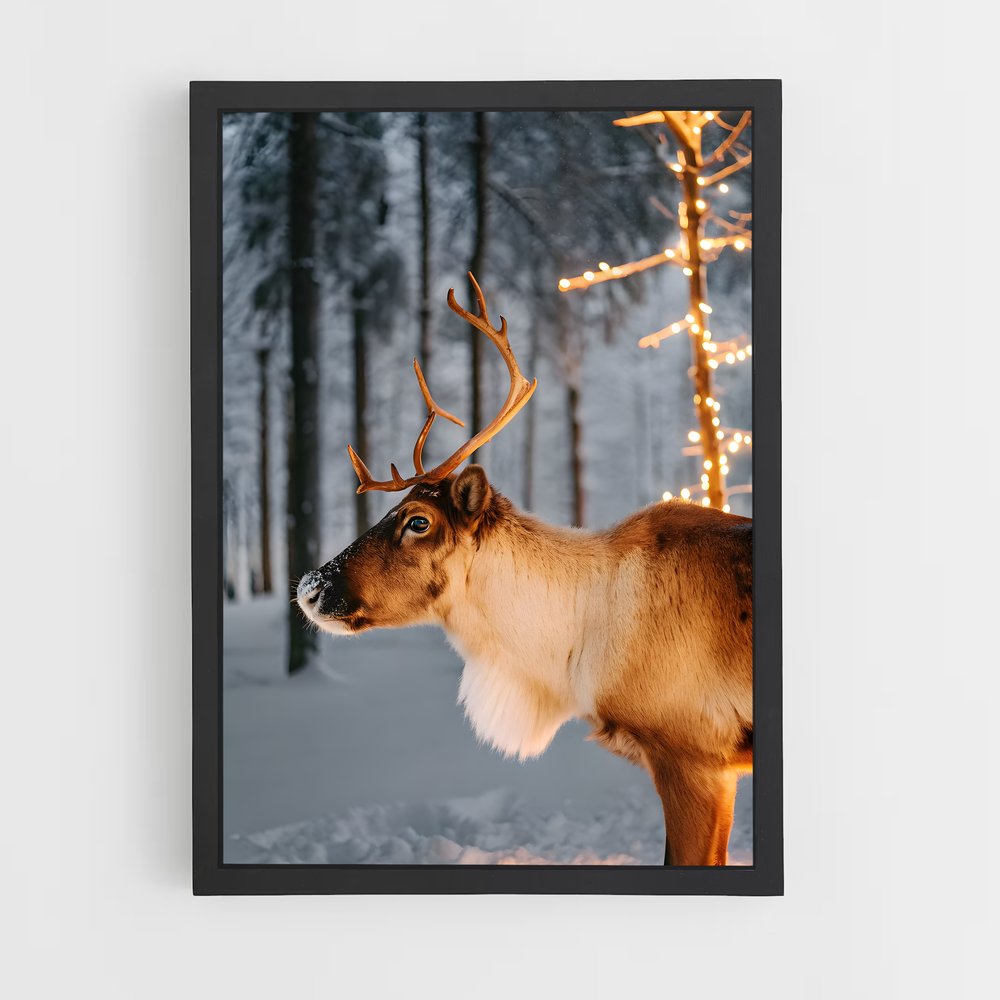ap-reindeer-12 cadre Noir
