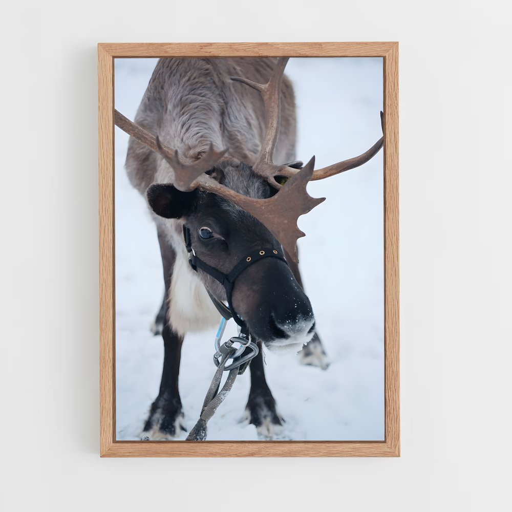 ap-reindeer-14 cadre Bois clair