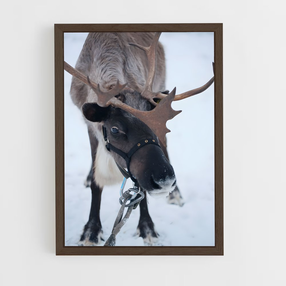 ap-reindeer-14 cadre Bois foncé