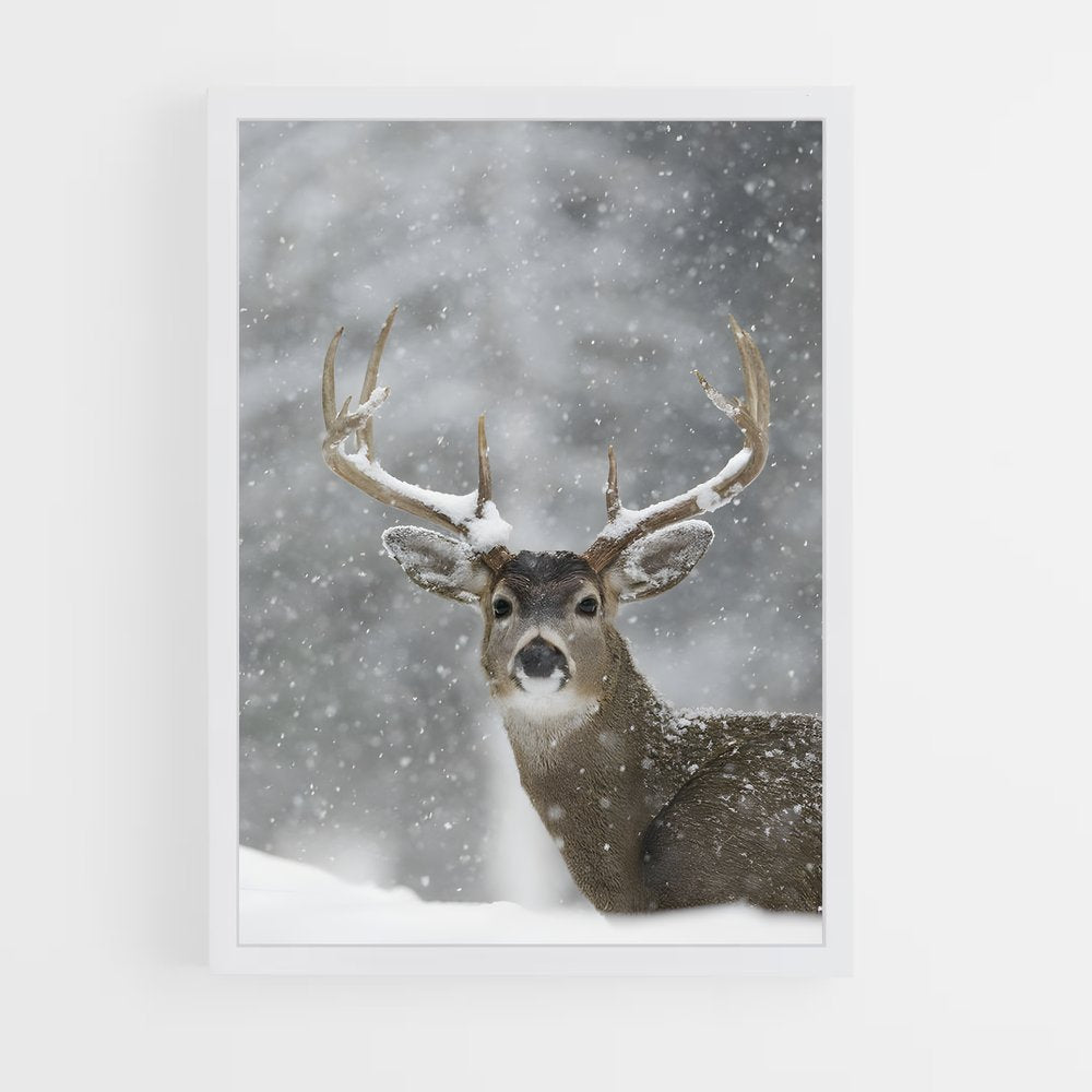 ap-reindeer-2 cadre Blanc