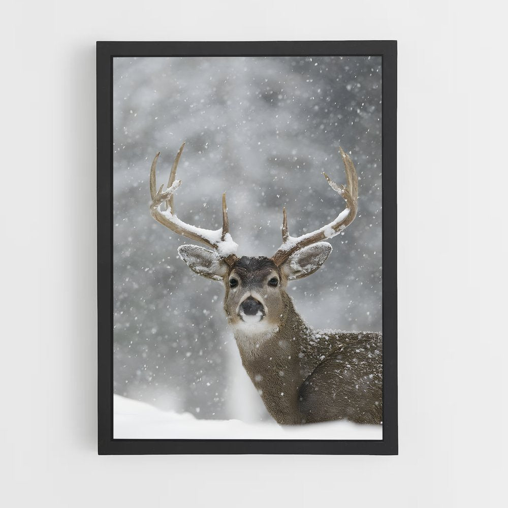 ap-reindeer-2 cadre Noir