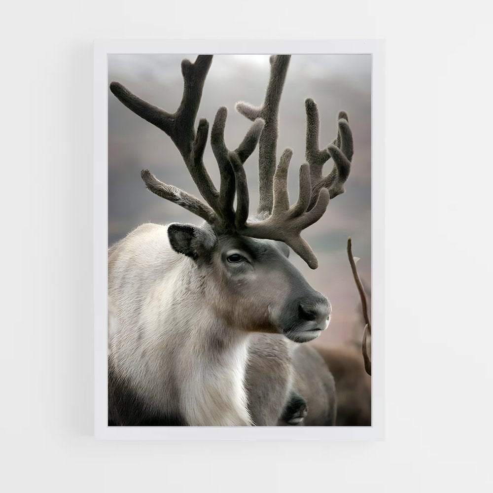 ap-reindeer-3 cadre Blanc