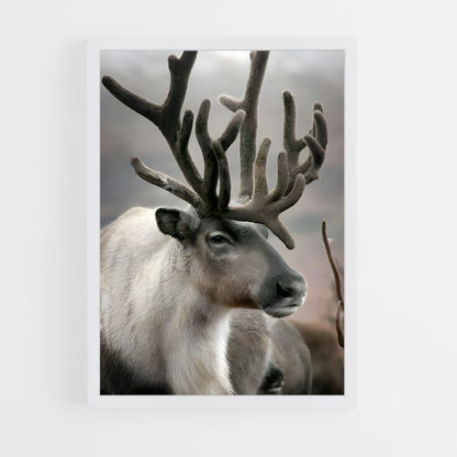 ap-reindeer-3 cadre Blanc