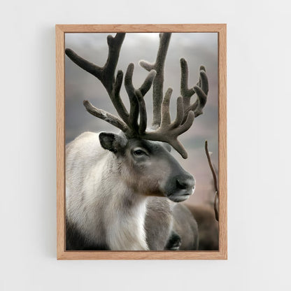ap-reindeer-3 cadre Bois clair