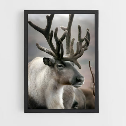 ap-reindeer-3 cadre Noir