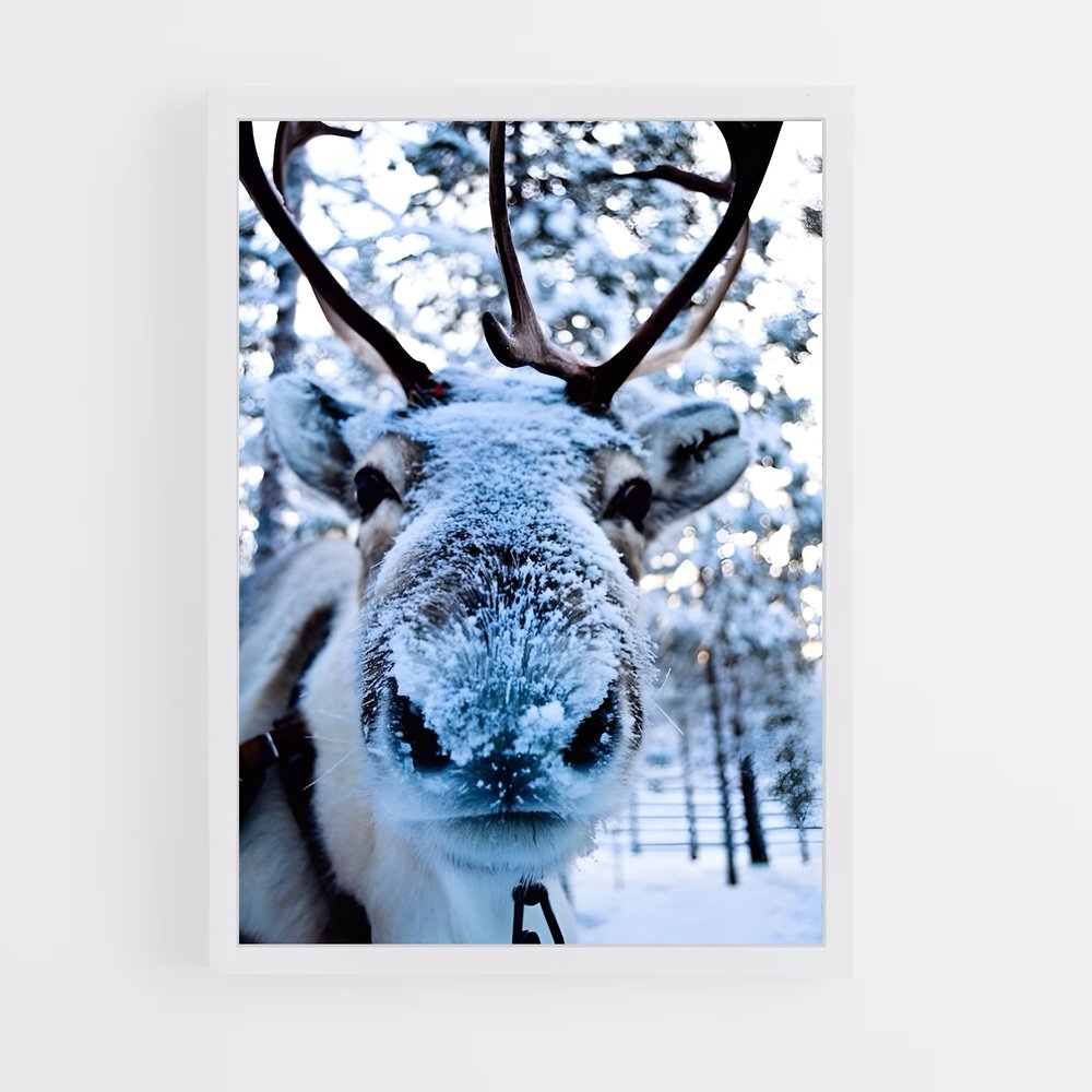 ap-reindeer-4 cadre Blanc