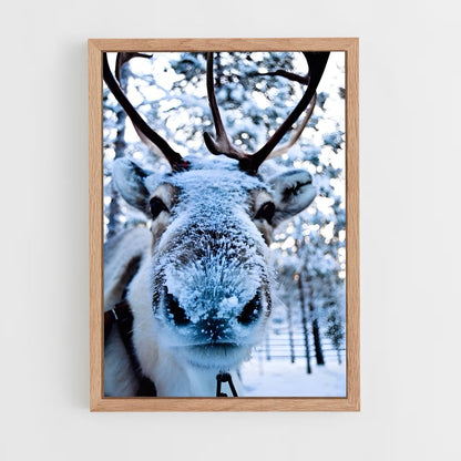 ap-reindeer-4 cadre Bois clair