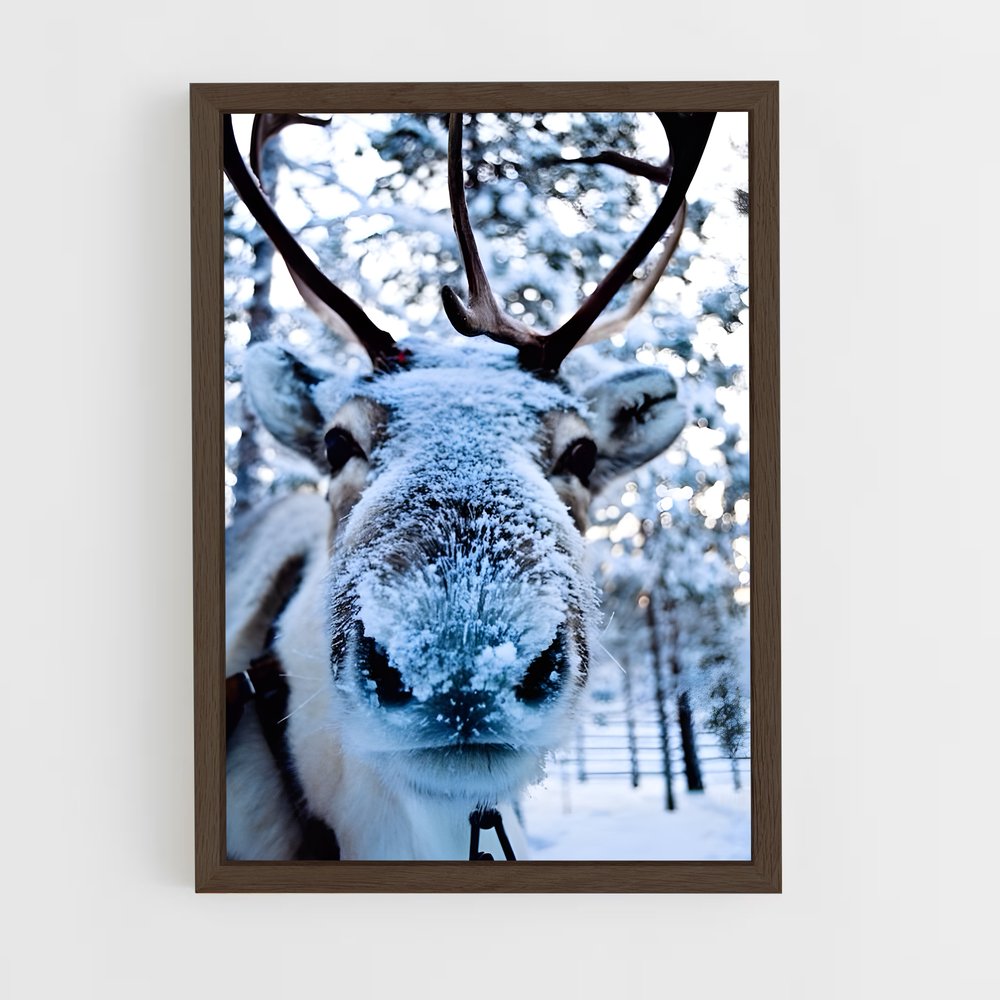 ap-reindeer-4 cadre Bois foncé