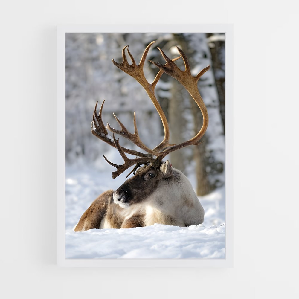 ap-reindeer-5 cadre Blanc