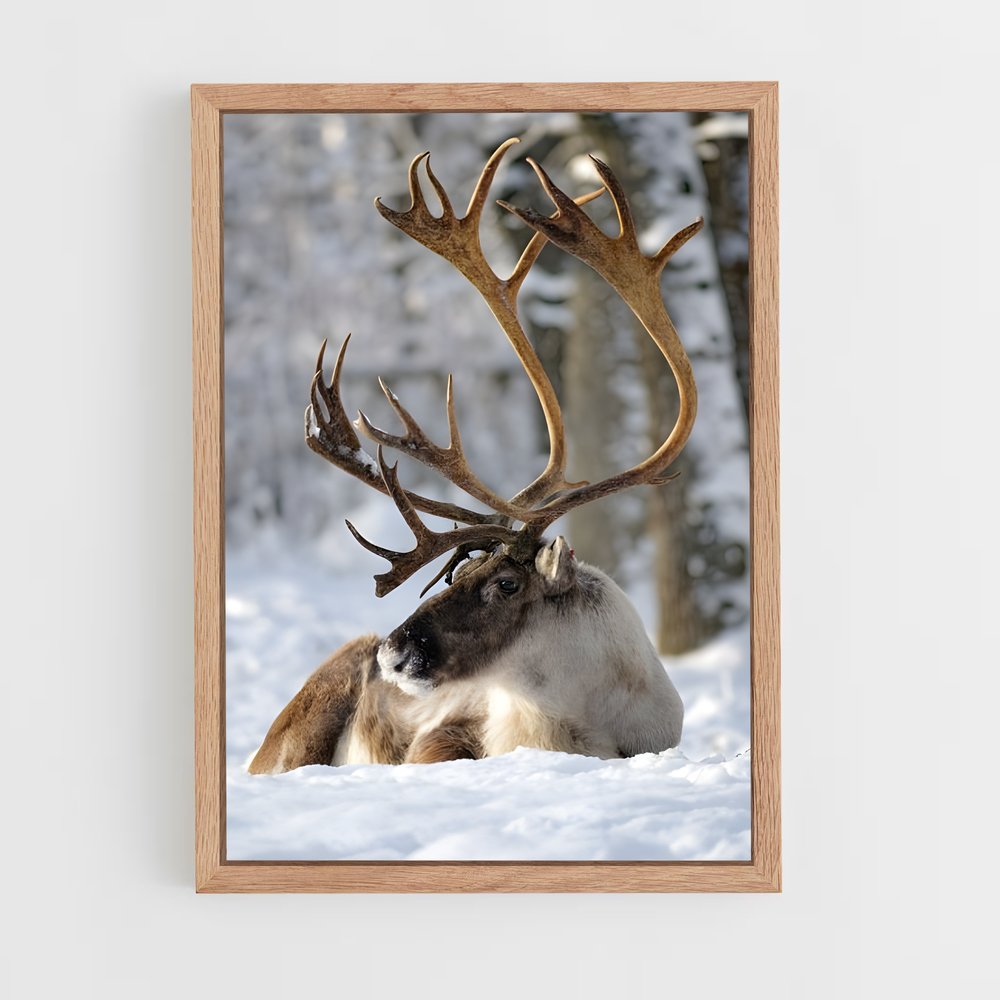 ap-reindeer-5 cadre Bois clair