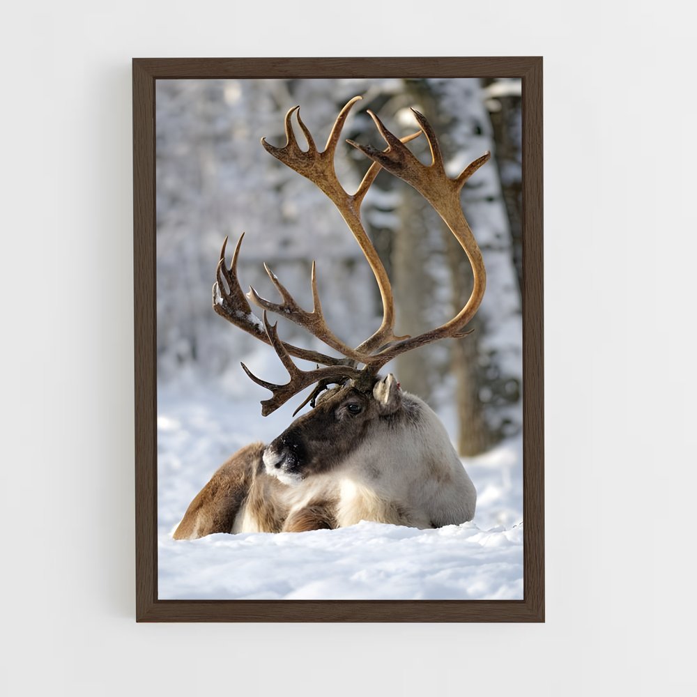ap-reindeer-5 cadre Bois foncé