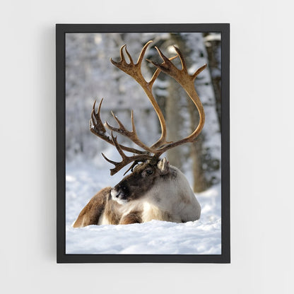 ap-reindeer-5 cadre Noir