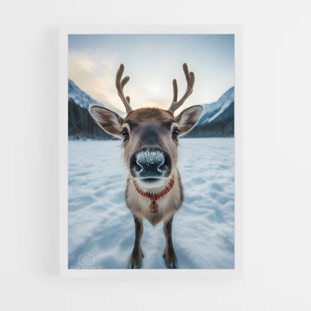 ap-reindeer-6 cadre Blanc