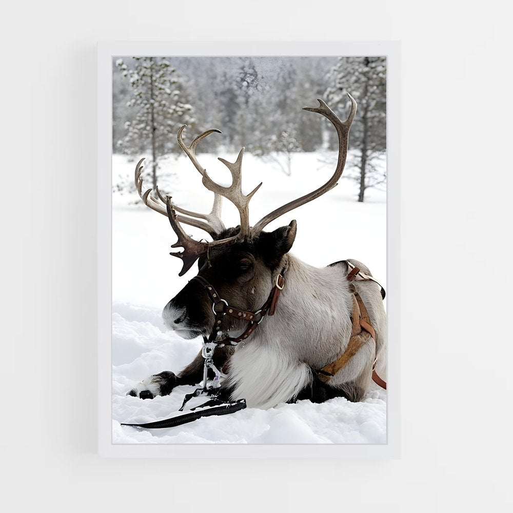 ap-reindeer-8 cadre Blanc