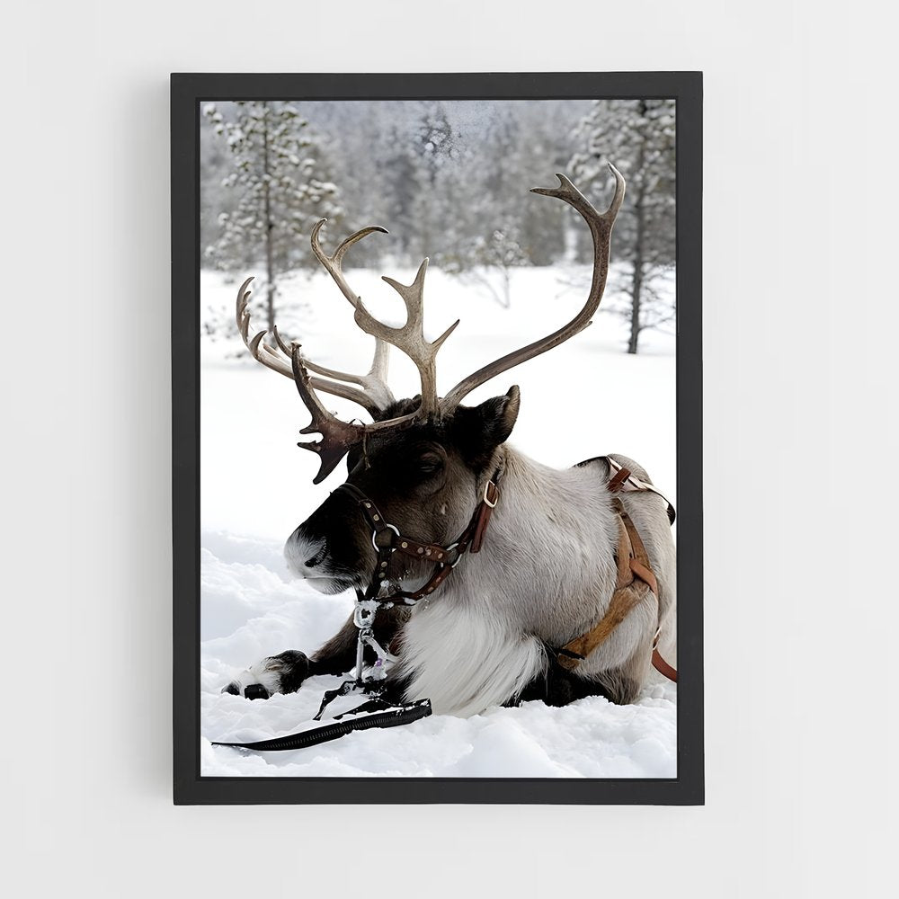 ap-reindeer-8 cadre Noir