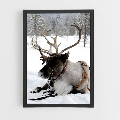ap-reindeer-8 cadre Noir