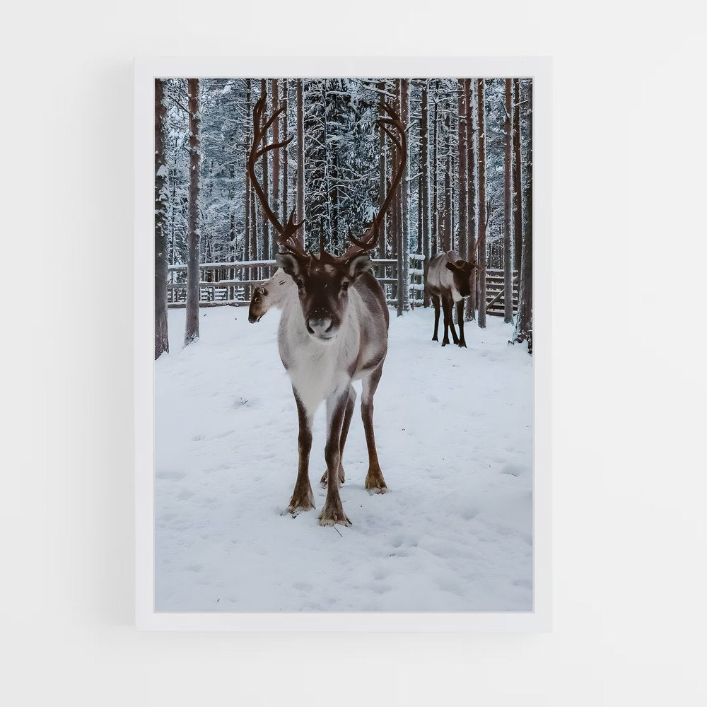 ap-reindeer-9 cadre Blanc