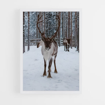ap-reindeer-9 cadre Blanc