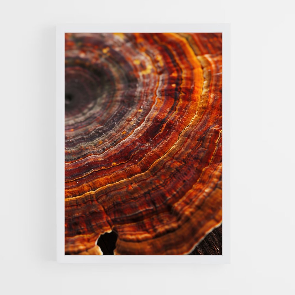 ap-reishi-2 cadre Blanc