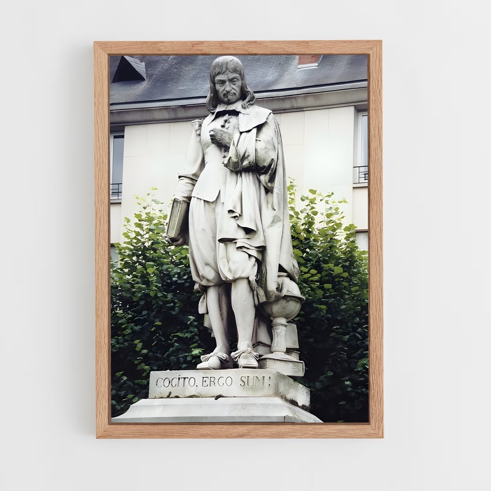 ap-rene descartes-5 cadre Bois clair