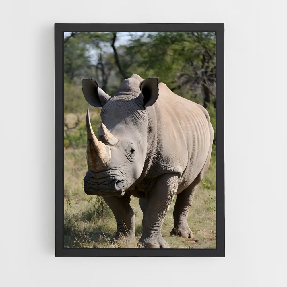 ap-rhinoceros-1 cadre Noir