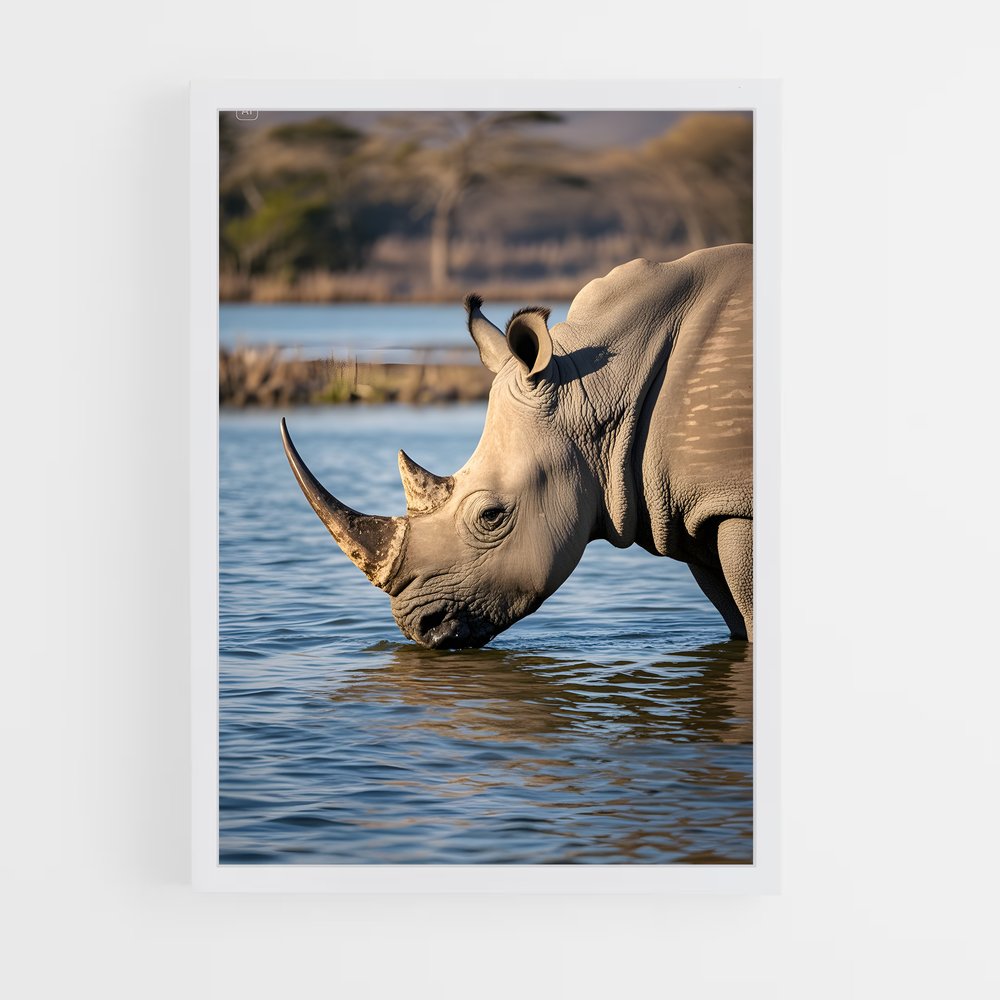 ap-rhinoceros-2 cadre Blanc