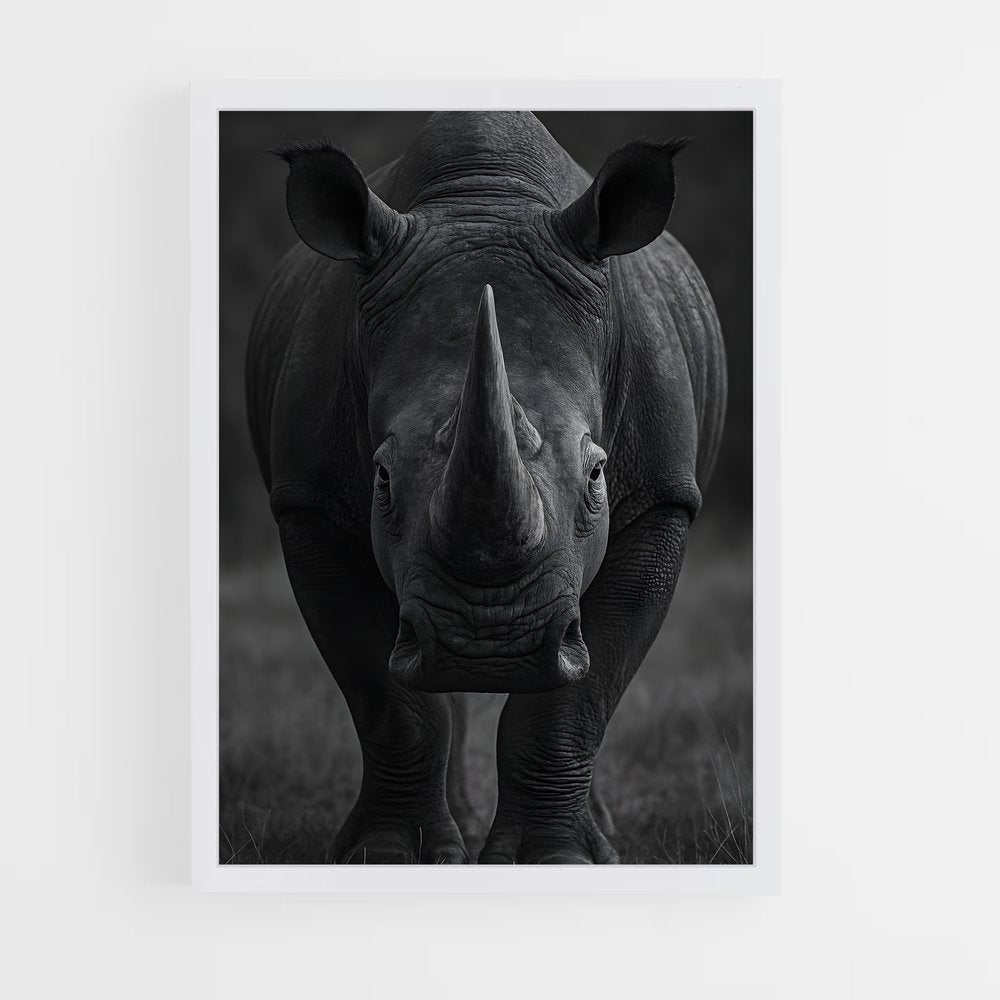 ap-rhinoceros-6 cadre Blanc