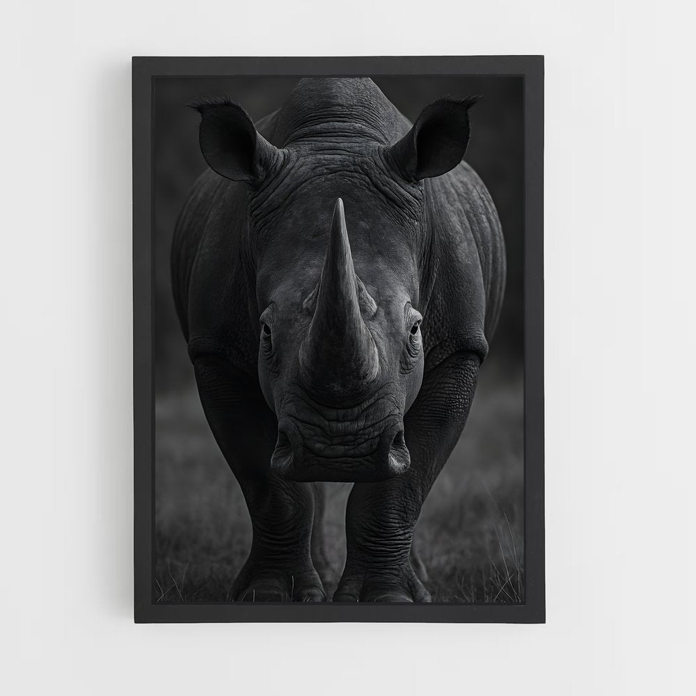 ap-rhinoceros-6 cadre Noir