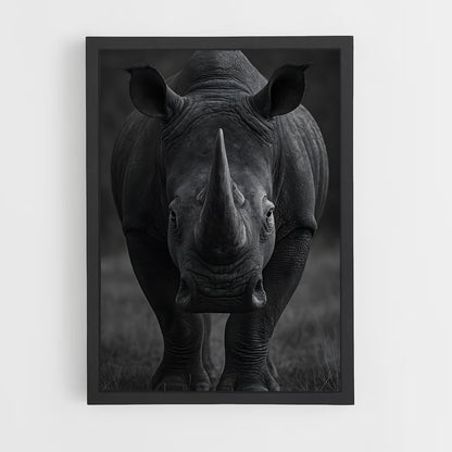 ap-rhinoceros-6 cadre Noir