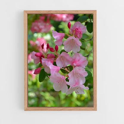ap-rhododendron-4 cadre Bois clair