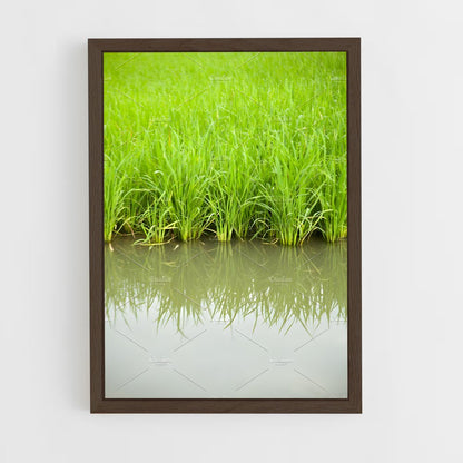 ap-rice-7 cadre Bois foncé