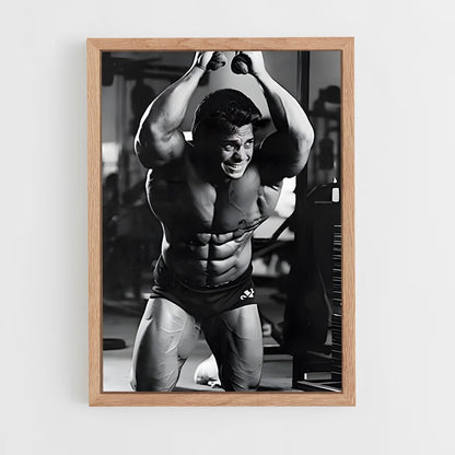 ap-rich gaspari-1 cadre Bois clair