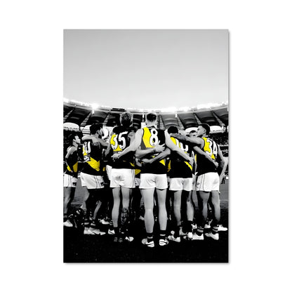Poster L'Esprit des Tigers