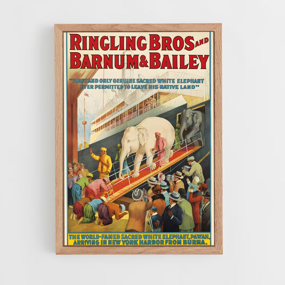 ap-ringling brothers-4 cadre Bois clair